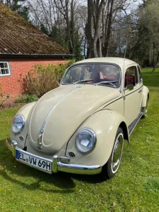 Volkswagen Käfer