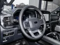Ford F-150 Lariat V8 Black Edition Pano+360 Kamera