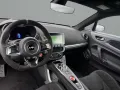 Alpine A110 S Grau Matt/V-Max 275 km/h/Fuchs/Sabelt Rac