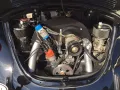 Volkswagen Käfer Oldtimer, H-Kennzeichen, Wertgutachten