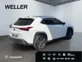 Lexus UX 250h F SPORT Design *Bi-LED*ACC*RCam*SHZ*PDC*