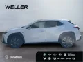 Lexus UX 250h F SPORT Design *Bi-LED*ACC*RCam*SHZ*PDC*