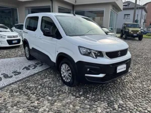 Peugeot PEUGEOT Rifter Mix BlueHDi 100 S&S PC Active N1