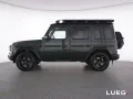 Mercedes-Benz G 450 d Professional+MBeam+Burm+Sthzg+AHK+SD+360
