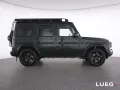 Mercedes-Benz G 450 d Professional+MBeam+Burm+Sthzg+AHK+SD+360