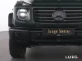 Mercedes-Benz G 450 d Professional+MBeam+Burm+Sthzg+AHK+SD+360