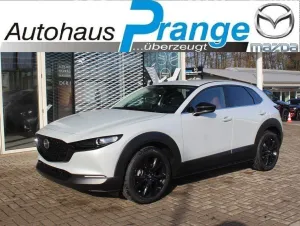 Mazda CX-30 M-Hybrid G-140 Nagisa Teil-Leder el.Sitzv.