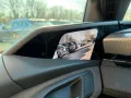 Audi S6 e-tron Avant B&O/360°Cam/Sitzlüft/Panorama