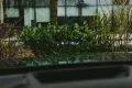 BMW XM 50 e M Sport