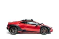 Lamborghini STERRATO *1 of 1499 *