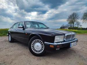 Jaguar Daimler Double Six (XJ81)