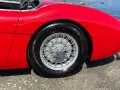 Austin Healey Andere