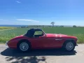 Austin Healey Andere