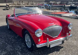 Austin Healey Andere