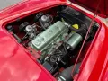 Austin Healey Andere