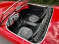 Austin Healey Andere