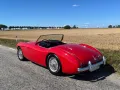 Austin Healey Andere