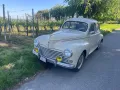 Peugeot 203 C H-Kennzeichen 