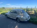 Peugeot 203 C H-Kennzeichen 