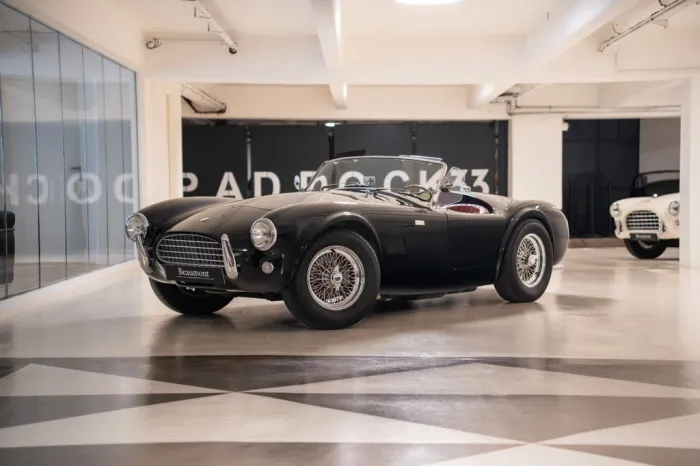 AC SHELBY COBRA 289 CSX