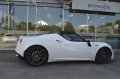 Alfa Romeo 4C Spider Vollausstattung Leder Carbon