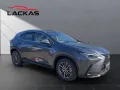 Lexus NX 450h Executive, Interieur+Technologie Paket