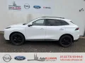 DFSK Forthing 5 REEV BESTELLFAHRZEUG -->weiß