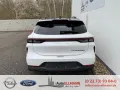 DFSK Forthing 5 REEV BESTELLFAHRZEUG -->weiß