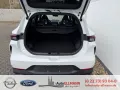 DFSK Forthing 5 REEV BESTELLFAHRZEUG -->weiß