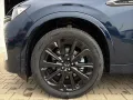 Mazda CX-60 3.3 254ps 8AT AWD Homura Plus BLOP