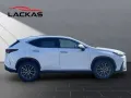 Lexus NX 450h Executive Panorama