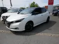 Nissan Leaf e+ Tekna  62KWH Bose Auto Kamera Navi Leder