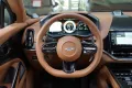 Aston Martin DBX707 * Carbonpaket * Copper Bronze * Monotone