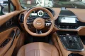 Aston Martin DBX707 * Carbonpaket * Copper Bronze * Monotone