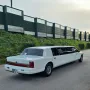 Other Lincoln Continental LIMOUSINE Town Car Stretch 9