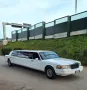 Other Lincoln Continental LIMOUSINE Town Car Stretch 9