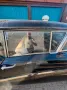 Buick Century  Coupe Chrom Lady