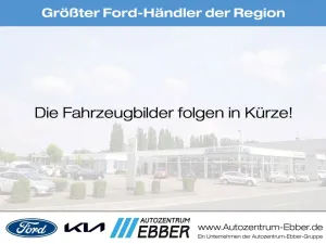 Ford Transit Courier Trend 1.5 EcoBlue GJR LADUNGS-SI