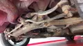 Audi 90 Quattro 20V USDM