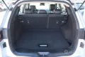 Renault Koleos Blue DCi 150 CV X-Tronic Business