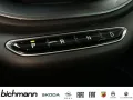 Fiat 500e 42KWh DAB+ Apps Alu RFK SHZ Keyless