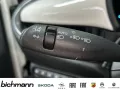 Fiat 500e 42KWh DAB+ Apps Alu RFK SHZ Keyless