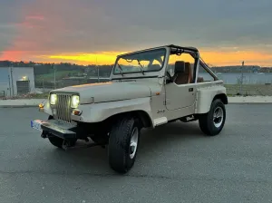 Jeep Wrangler 4.0 Automatik, Klima - Japan Import