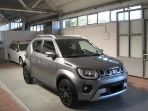Suzuki SUZUKI Ignis 1.2 Hybrid 4WD All Grip Top