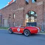 Cobra Andere