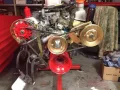 TVR Andere