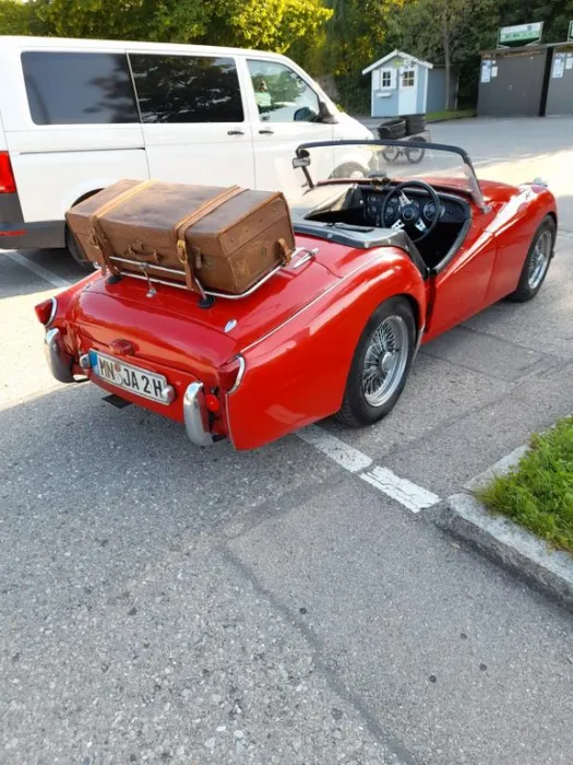 Triumph TR2 Haifisch-Schnauze