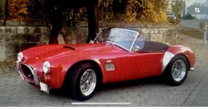 Cobra Andere