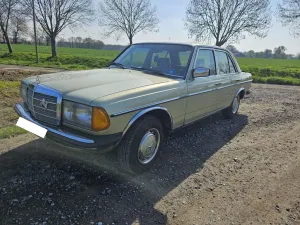 Mercedes-Benz 200 (W123) H-Kennzeichen
