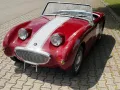Other Austin Healey Frogeye MK1 Bj 1960 H Kennze...